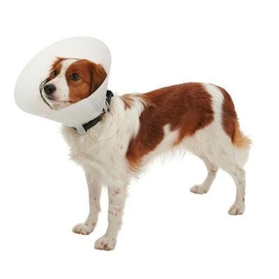 Figura illustrativa FarmaBellomo della Dottoressa Bellomo Rosita