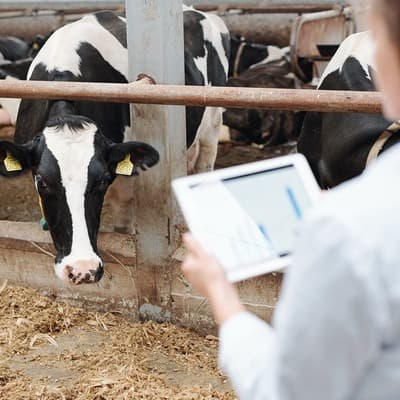 Figura illustrativa FarmaBellomo della Dottoressa Bellomo Rosita