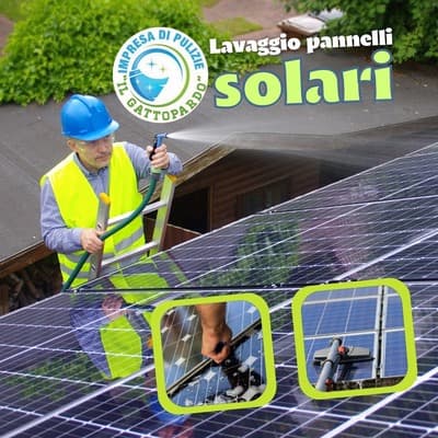 Figura illustrativa Impresa di Pulizie Il Gattopardo