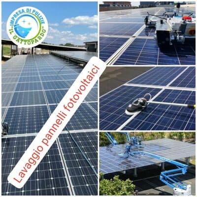 Figura illustrativa Impresa di Pulizie Il Gattopardo