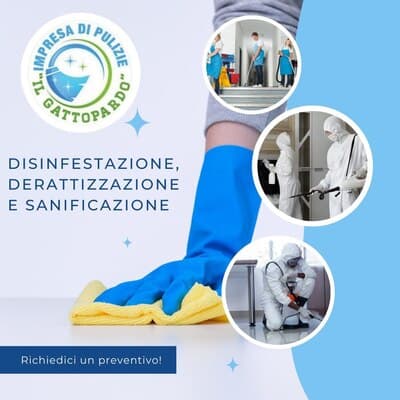 Figura illustrativa Impresa di Pulizie Il Gattopardo