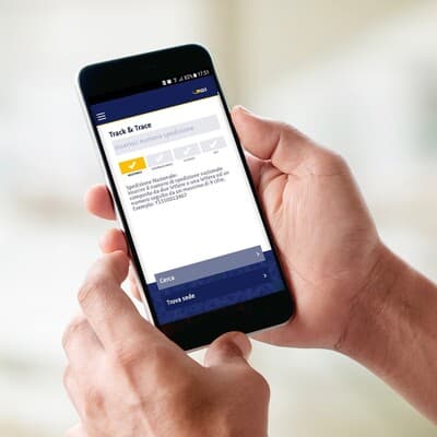 Figura illustrativa DM Logistic