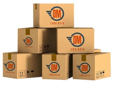 Figura illustrativa DM Logistic