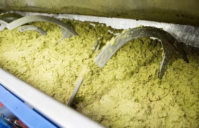 Figura illustrativa Oleificio Bordino