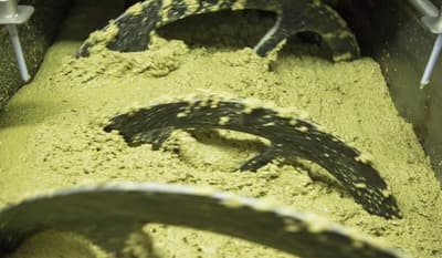 Figura illustrativa Oleificio Bordino