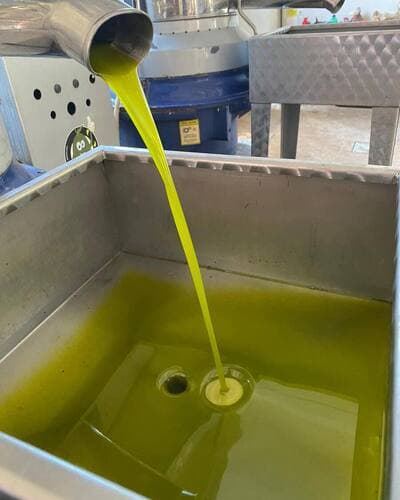 Figura illustrativa Oleificio Bordino