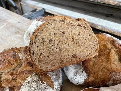 Figura illustrativa Panificio Callari