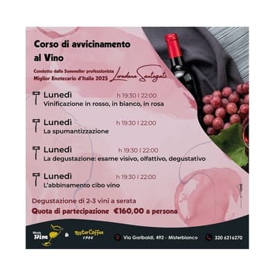 Figura illustrativa Mister Coffee