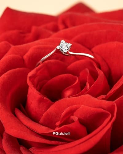 Figura illustrativa Gioielleria Eleonora Di Falco