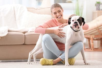 Figura illustrativa Market Fratelli Falconi