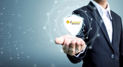 Figura illustrativa Embedded Services