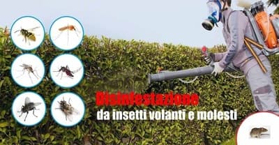 Figura illustrativa Embedded Services