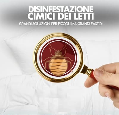 Figura illustrativa Embedded Services