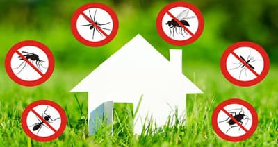 Figura illustrativa Embedded Services