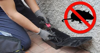 Figura illustrativa Embedded Services