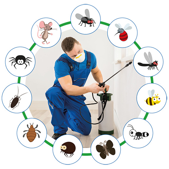 Figura illustrativa Embedded Services