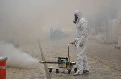 Figura illustrativa Embedded Services