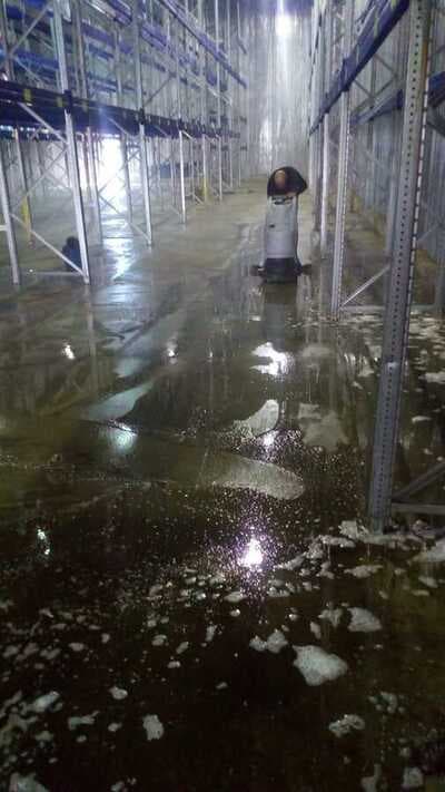 Figura illustrativa Embedded Services