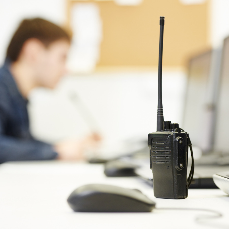 Figura illustrativa Embedded Services