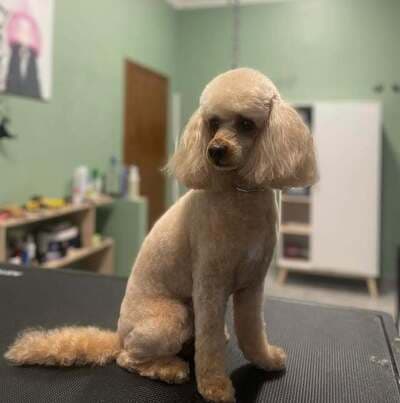 Figura illustrativa La Bautique di Boroni Gaia