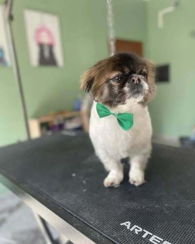 Figura illustrativa La Bautique di Boroni Gaia