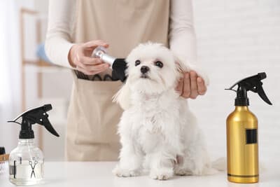 Figura illustrativa La Bautique di Boroni Gaia