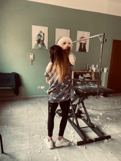 Figura illustrativa La Bautique di Boroni Gaia