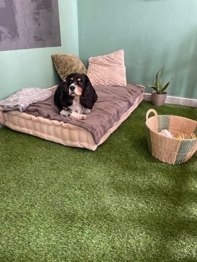 Figura illustrativa La Bautique di Boroni Gaia