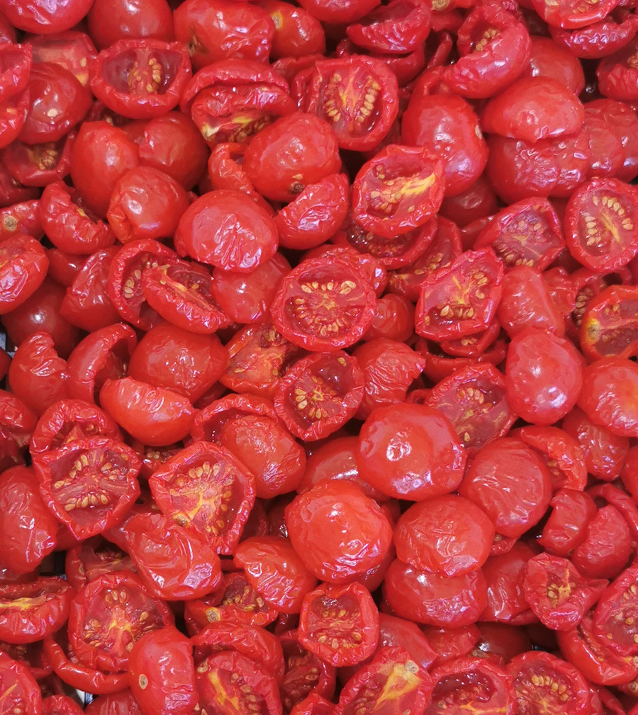 Figura illustrativa INC Gurrieri S.r.l.