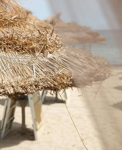 Figura illustrativa Hamama Lido Balneare