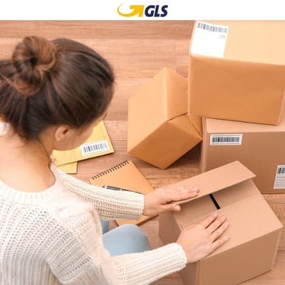 Figura illustrativa Puglisi Servizi