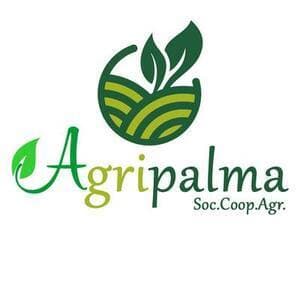 logo Agripalma Società Cooperativa Agricola