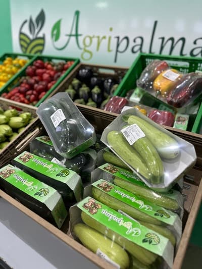 Figura illustrativa Agripalma Società Cooperativa Agricola