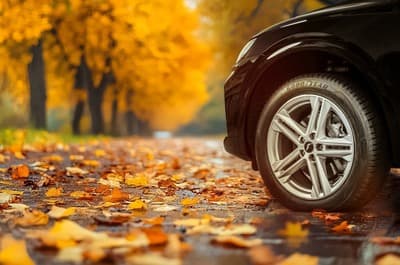 Figura illustrativa Meccatronica e Gommista Grasso