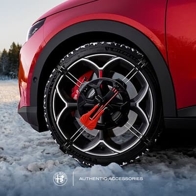 Figura illustrativa Meccatronica e Gommista Grasso