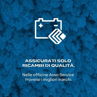 Figura illustrativa Pneumanager