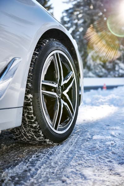 Figura illustrativa Pneumanager