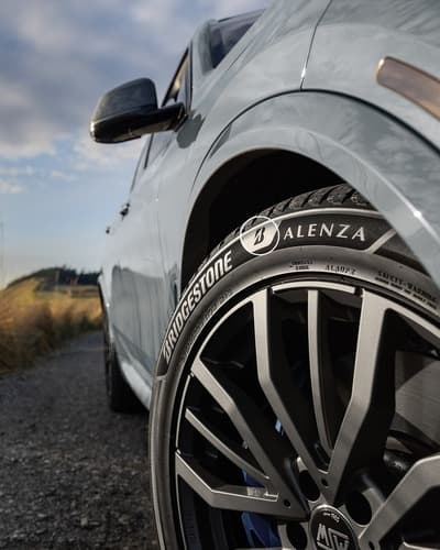 Figura illustrativa Pneumanager