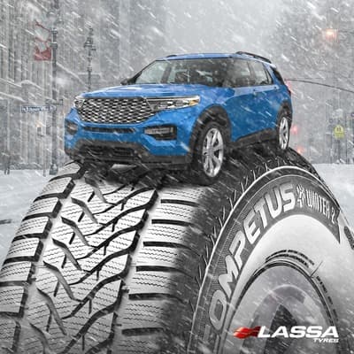 Figura illustrativa Pneumanager