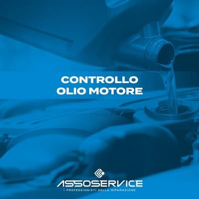 Figura illustrativa Pneumanager