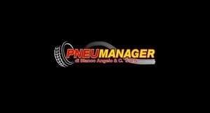 logo Pneumanager