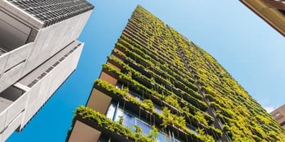 Figura illustrativa Edilè