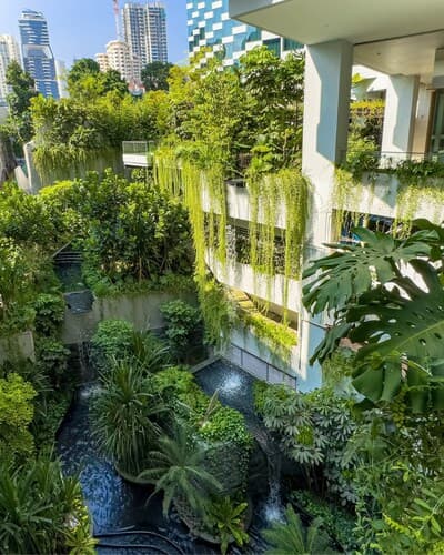 Figura illustrativa Edilè