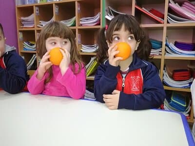 Figura illustrativa Al Regno Fatato