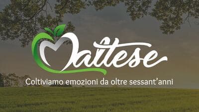 Figura illustrativa Maltese Mercati