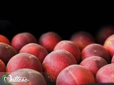 Figura illustrativa Maltese Mercati