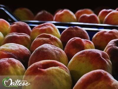 Figura illustrativa Maltese Mercati