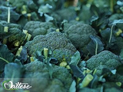 Figura illustrativa Maltese Mercati