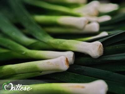 Figura illustrativa Maltese Mercati