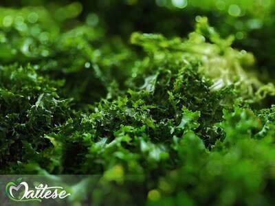 Figura illustrativa Maltese Mercati